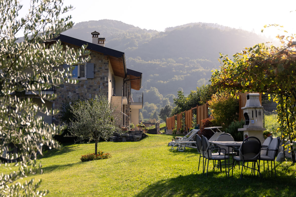 View of the garden and the barbecue